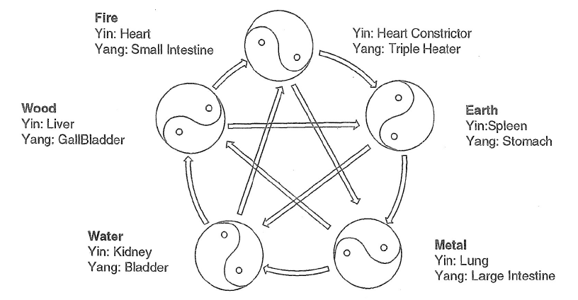 5 elements theory zen wave therapy yoga shiatsu berlin